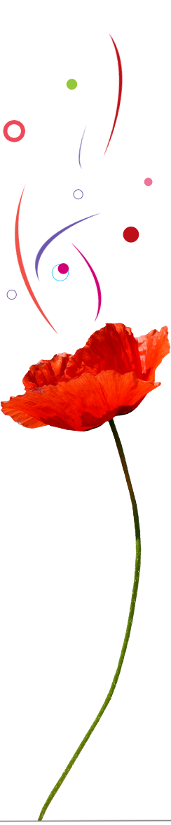 coqueliquot_aroma_design coqueliquot_aroma_design